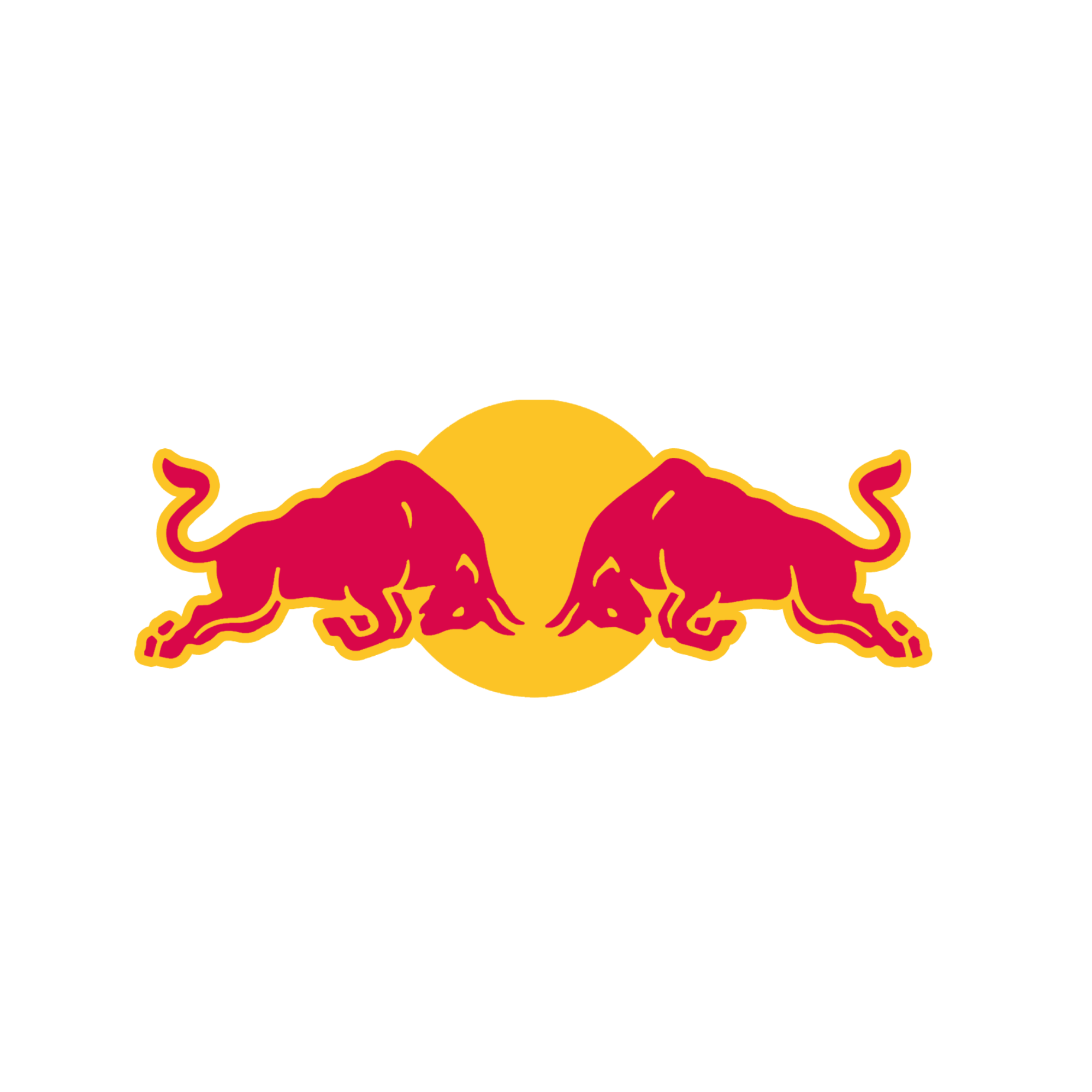 Red Bull Racing