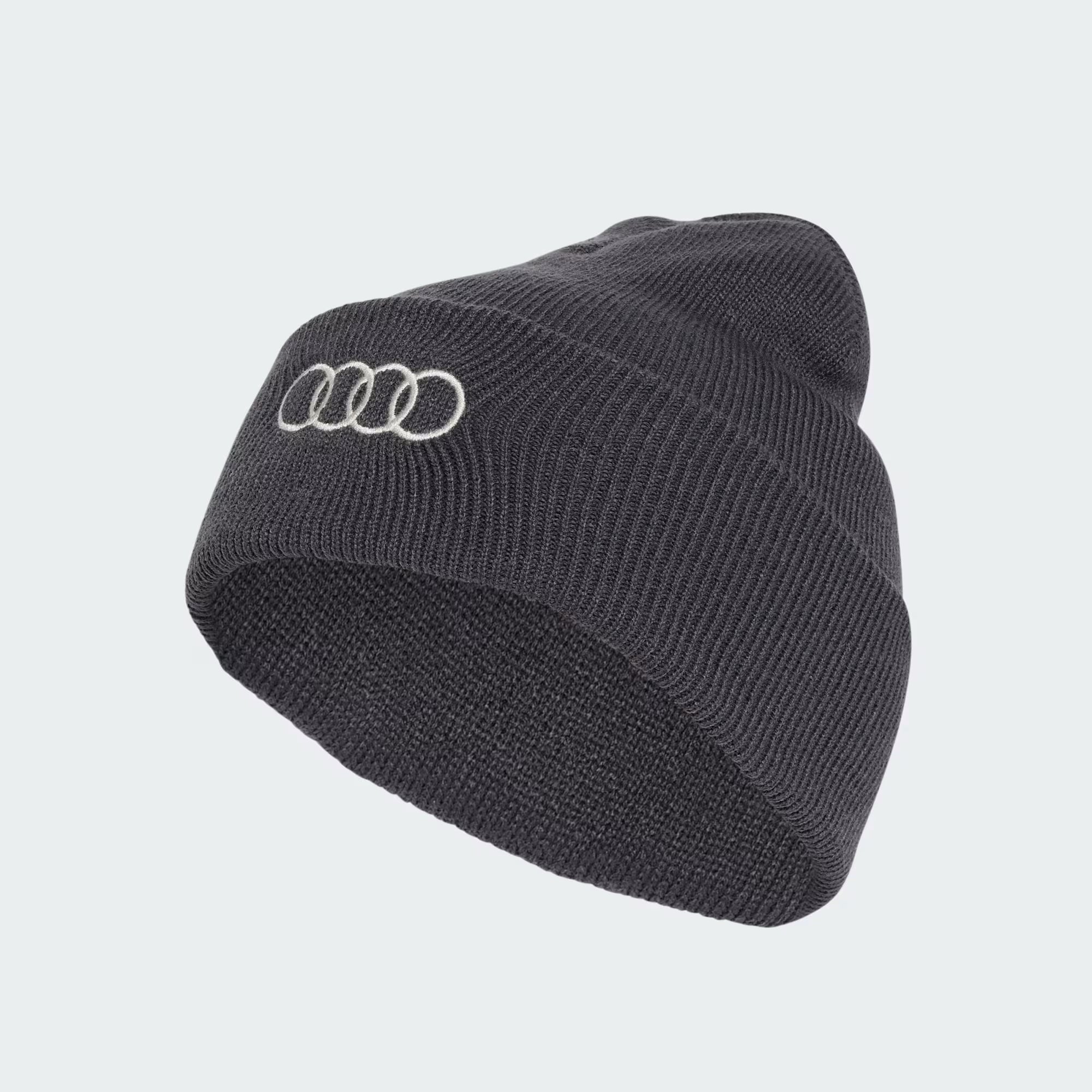 Bonnet Audi F1