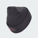 Bonnet Audi F1