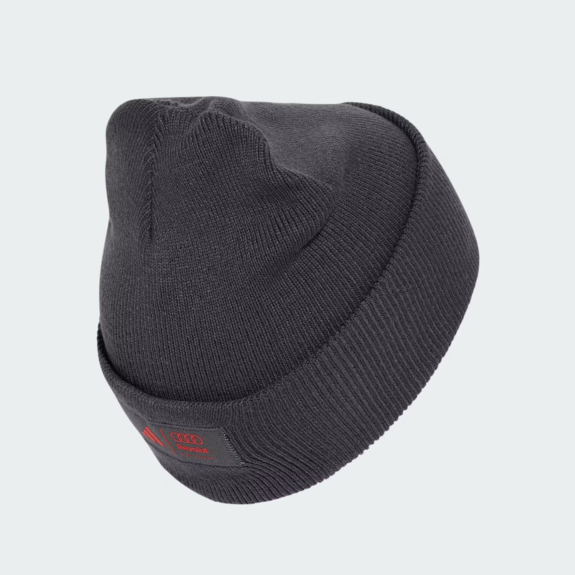 Bonnet Audi F1